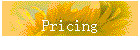 Pricing