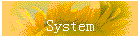 System